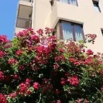 Flowers Pensión Nesebar