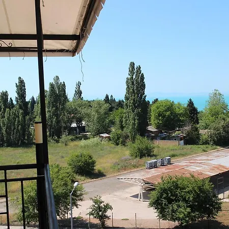 Flowers 内塞伯尔