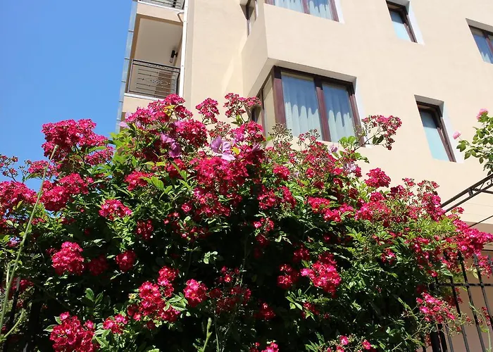 Flowers Gæstehus Nessebar